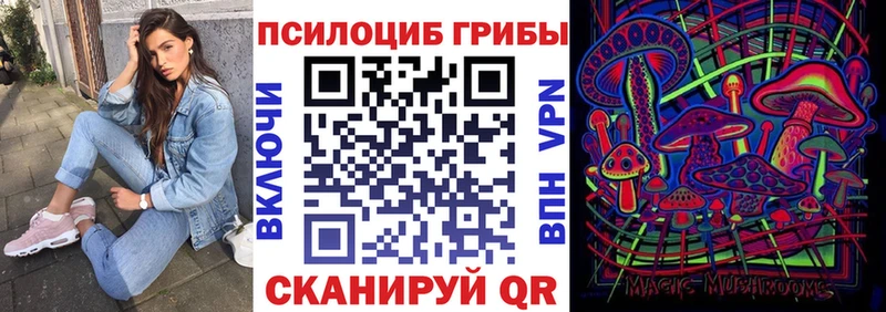 omg tor  Осинники  Псилоцибиновые грибы Magic Shrooms 
